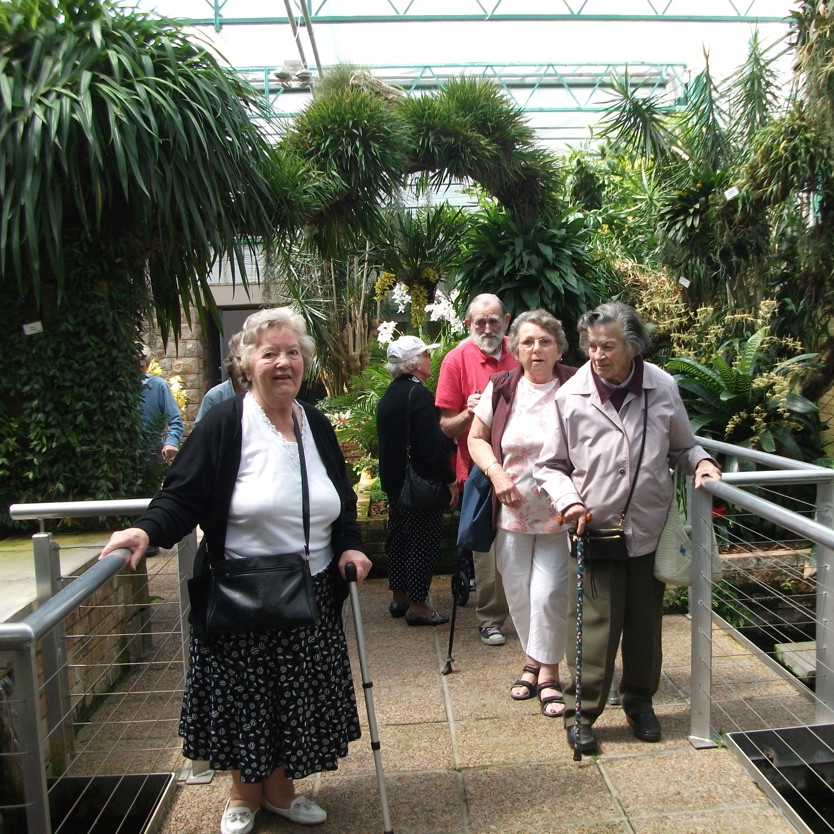 JAA members on an outing at the Orchid Foundation